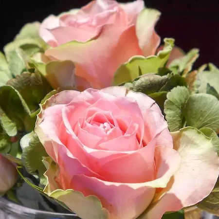 Hotel Garni Römerhof