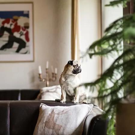 Hotel Garni Römerhof Innsbruck