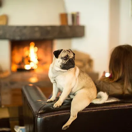 Hotel Garni Römerhof 3*