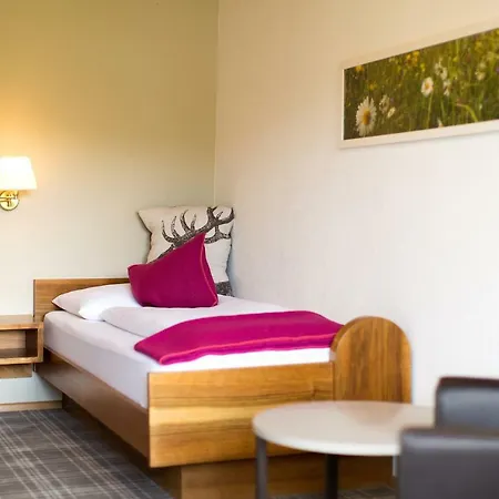 Garni Römerhof Hotel 3*