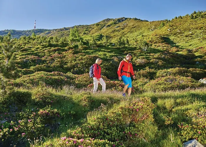 מלון Garni Roemerhof