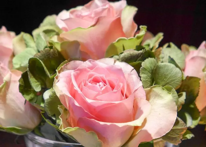 מלון Garni Roemerhof