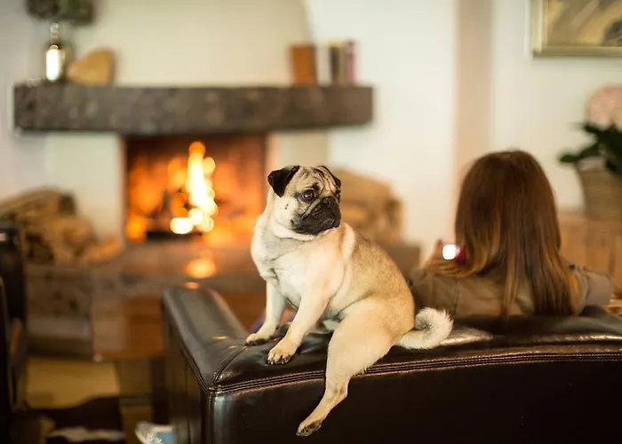 מלון Garni Roemerhof 3*