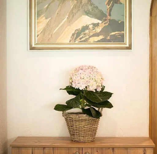 מלון Garni Roemerhof אינסברוק