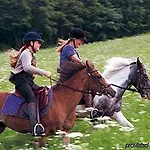 Garni Roemerhof 3*