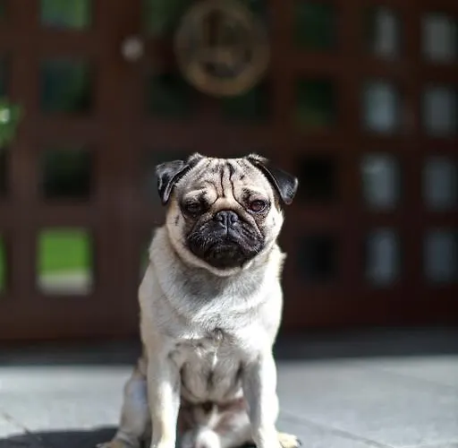 Szálloda Garni Roemerhof