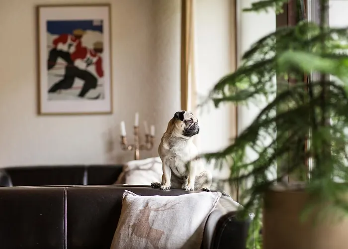 Hotel Garni Roemerhof Innsbruck